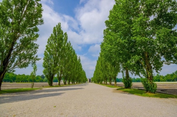 Immobilien Dachau kaufen